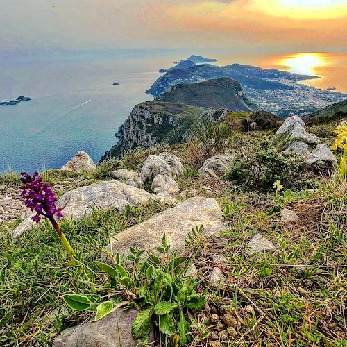 "Amalficoast.com", il portale più longevo della Costa d'Amalfi diventa hub gratuito di promozione per il territorio