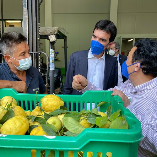 La Food and Agriculture Organization (FAO) in Costa d’Amalfi con il direttore generale Qu Dongyu e il vice Maurizio Martina /FOTO