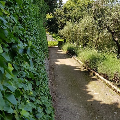 Ravello, apre Villa La Rondinaia: un relais di lusso sulla Costiera Amalfitana con lo studio di Gore Vidal che diventa un museo