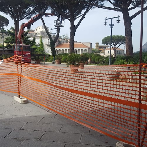 Ravello, pericolo pigne: stamani potatura dei pini in piazza [FOTO]